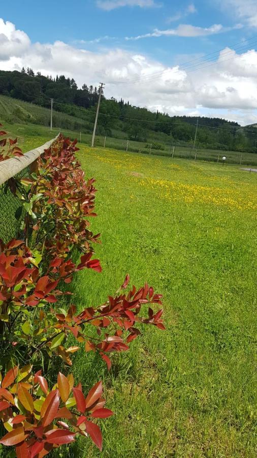 Podere Greve San Casciano in Val di Pesa Eksteriør billede